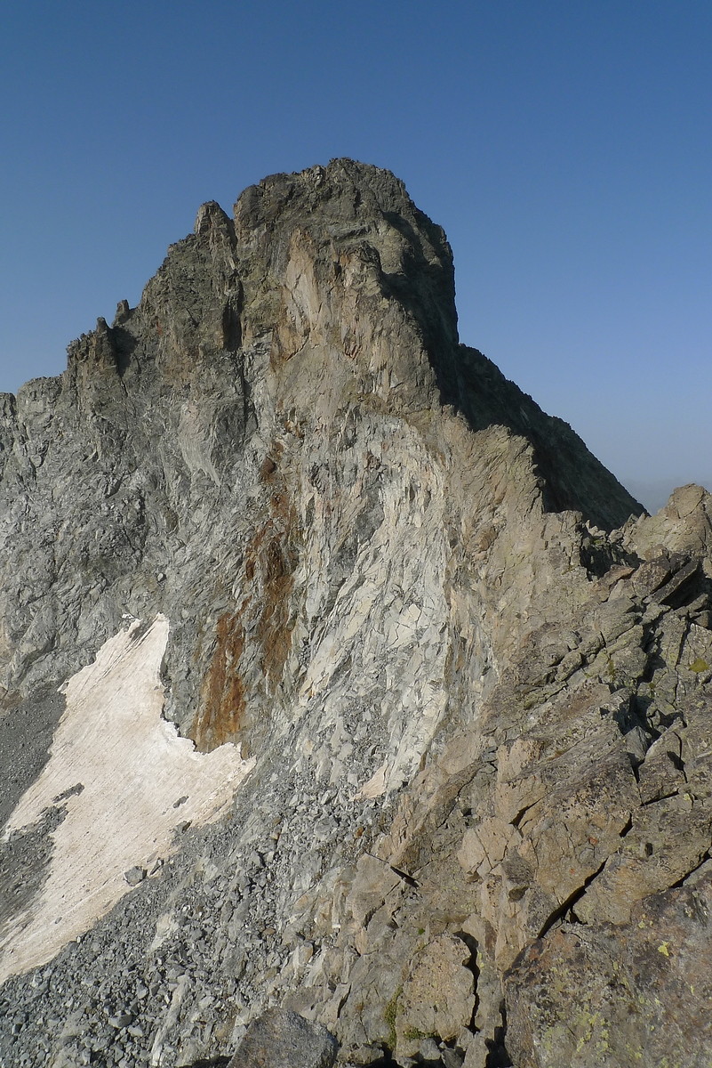 image_1